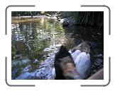 DSCN1304 * 2288 x 1712 * (739KB)