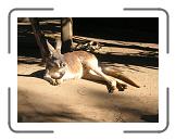 DSCN1312 * 2288 x 1712 * (670KB)