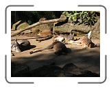 DSCN1314 * 2288 x 1712 * (734KB)