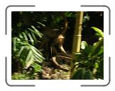 DSCN1323 * 2288 x 1712 * (693KB)