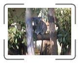 DSCN1328 * 2288 x 1712 * (814KB)