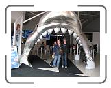 IMG_0209 * 3264 x 2448 * (2.15MB)