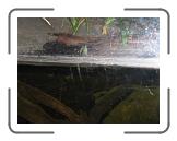 IMG_0211 * 3264 x 2448 * (1.82MB)