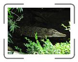 IMG_0222 * 3264 x 2448 * (2.16MB)