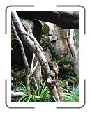 IMG_0280 * 2448 x 3264 * (2.78MB)