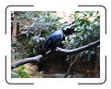 IMG_0289 * 3264 x 2448 * (2.12MB)