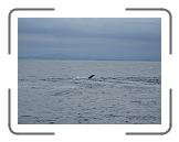 IMG_0383 * 3264 x 2448 * (2.06MB)