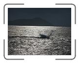 IMG_0389 * 3264 x 2448 * (3.21MB)