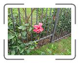 IMG_0407 * 3264 x 2448 * (3.32MB)
