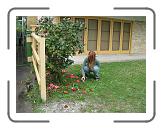 IMG_0408 * 3264 x 2448 * (3.22MB)