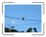 IMG_0412 * 3264 x 2448 * (1.6MB)