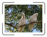 IMG_0418 * 3264 x 2448 * (1.62MB)