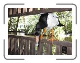 IMG_0559 * 3264 x 2448 * (2.43MB)