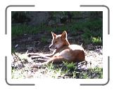 IMG_0564 * 3264 x 2448 * (1.49MB)