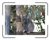 IMG_0568 * 3264 x 2448 * (2.23MB)