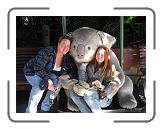 IMG_0570 * 3264 x 2448 * (2.29MB)