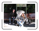 IMG_0571 * 3264 x 2448 * (2.23MB)