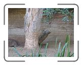 IMG_0572 * 3264 x 2448 * (2.49MB)