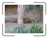 IMG_0573 * 3264 x 2448 * (2.61MB)