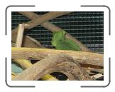 IMG_0579 * 3264 x 2448 * (1.61MB)