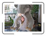 IMG_0586 * 3264 x 2448 * (2.63MB)