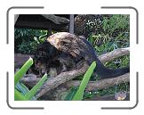 IMG_0594 * 3264 x 2448 * (3.0MB)