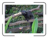 IMG_0596 * 3264 x 2448 * (3.16MB)