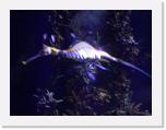 100_0579 * 2848 x 2134 * (1.21MB)