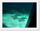 100_0611 * 2848 x 2134 * (1.25MB)