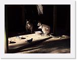 100_0751 * 2848 x 2134 * (1.15MB)