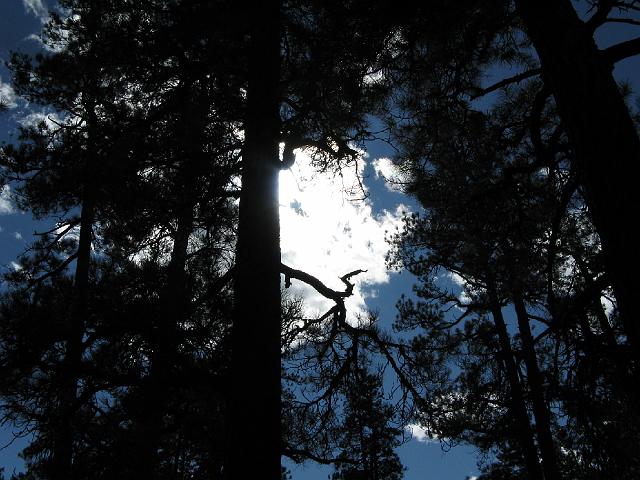Original image