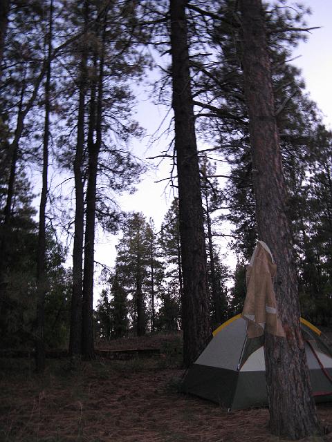 Original image