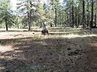 IMG_0699
