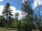 IMG_0730