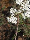 IMG_0746