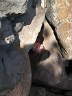 IMG_0768