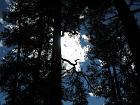 IMG_0793