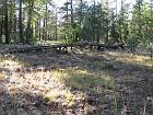 IMG_0801