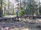 IMG_0802
