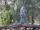 IMG_0803