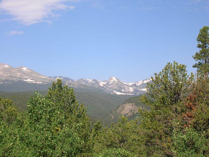 Original image
