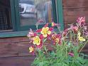 DSC00037