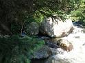 DSCN0210
