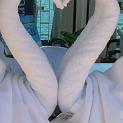 DSCN1449