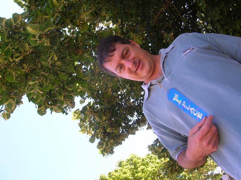 Original image