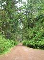 DSCN0743
