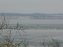DSCN0745