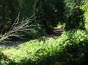 DSCN0754