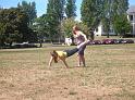 DSCN0779