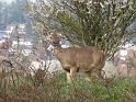 IMG_1159